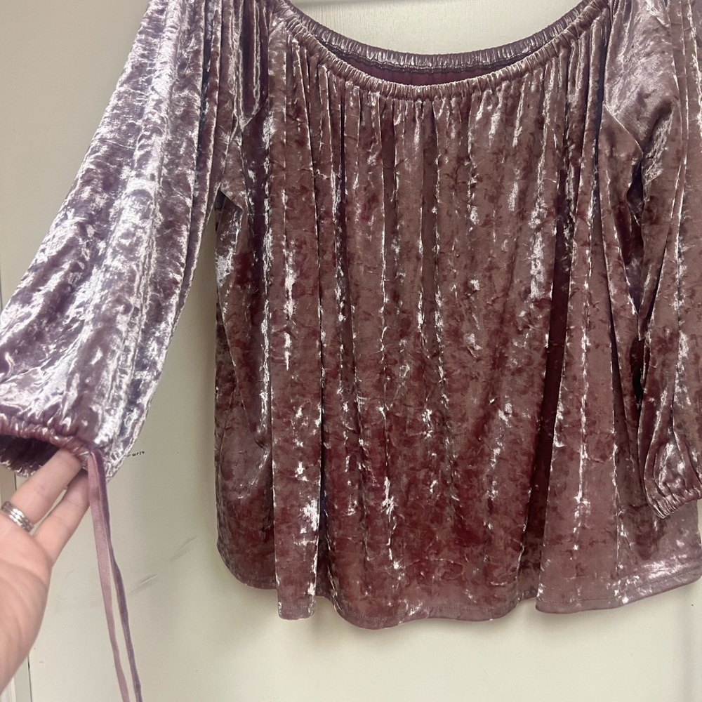 American Eagle Outfitters Velvet Blouse in Mauve